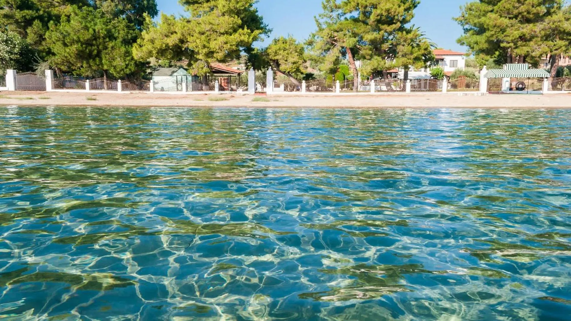 Luxury Olea Valley Apartment - Nikiti Poolside Gem